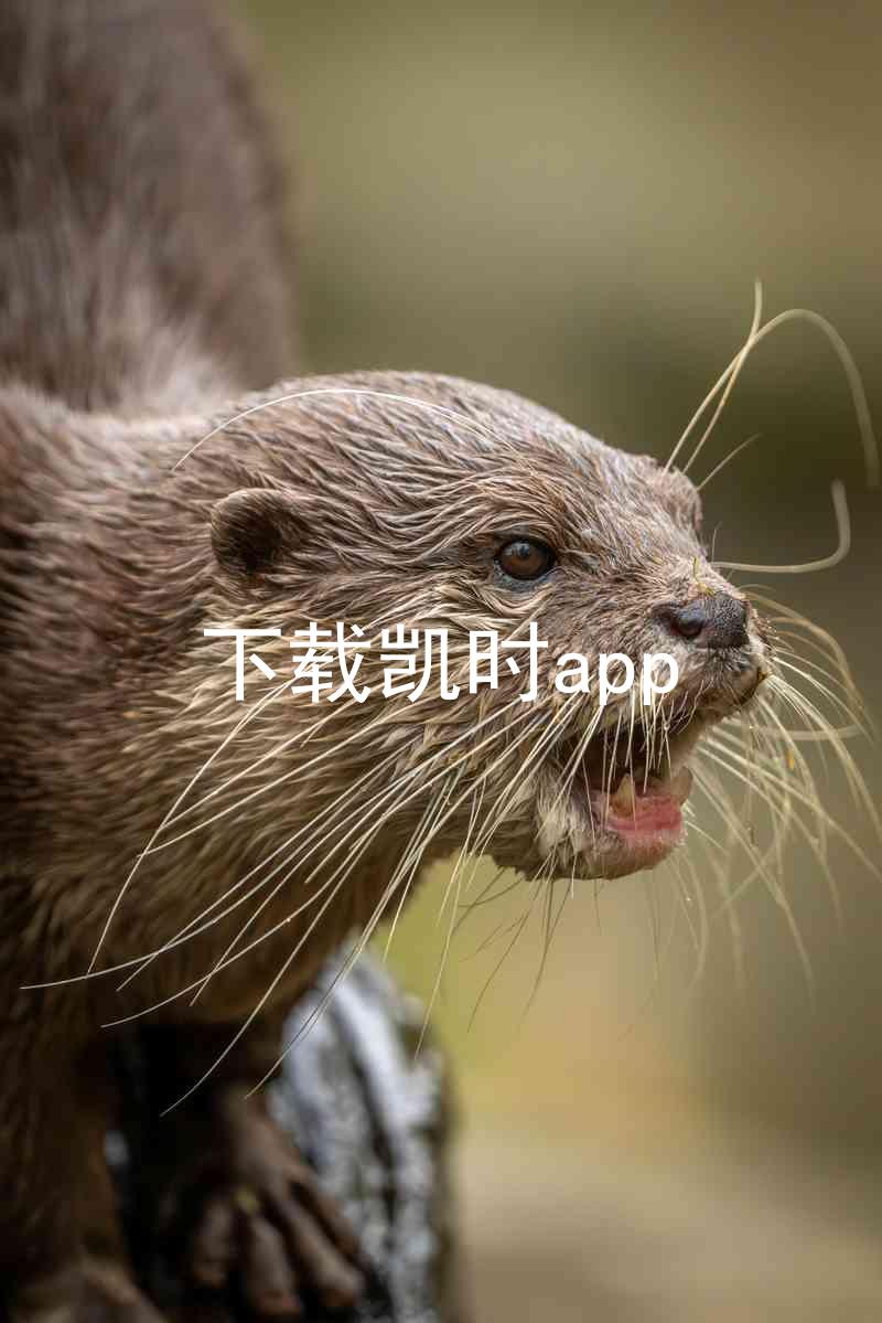 下载凯时app